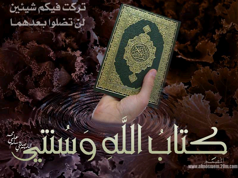 أعداء المنهج السلفي... بدائل أمريكية مقترحة